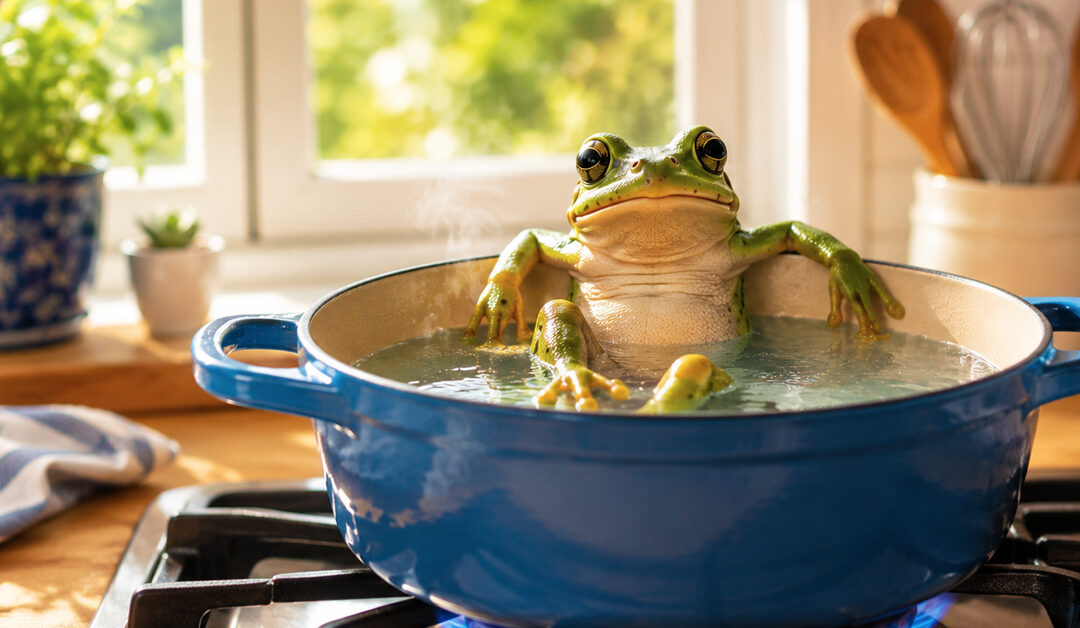 The Boiling Frog